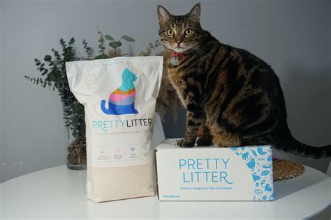 healthy cat litter reviews.